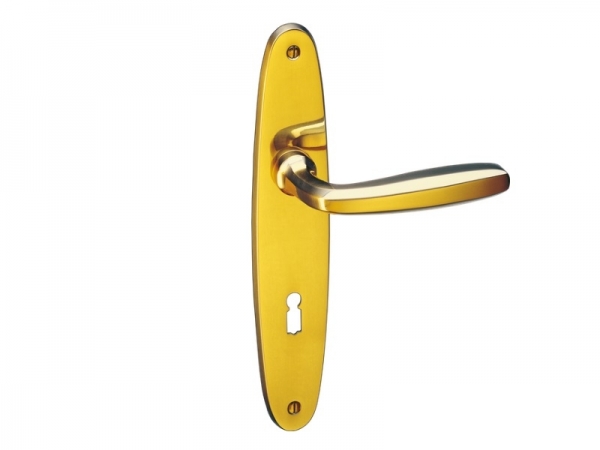 Дверная ручка на планке P.Bisschop 1901/8027 полированная латунь